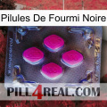 Black Ant Pills 02